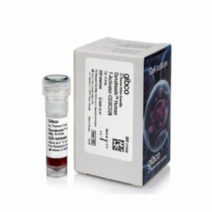 Thermo Fisher, Gibco, Dynabeads Human T-Activator CD3/CD28 for T Cell Expansion and Activation, 0.4 ML, 11161D