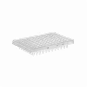 Thermo Fisher, Applied Biosystems, MicroAmp Optical 96-Well Reaction Plate, 50XN8010560, 4316813