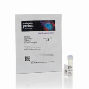 Thermo Fisher, Invitrogen, Annexin V, Alexa Fluor 594 conjugate, 500 UL, A13203