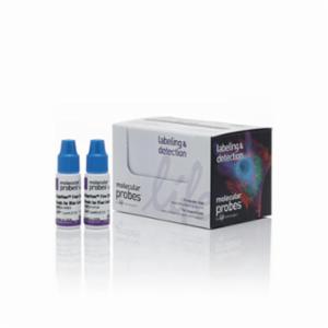 Thermo Fisher, Invitrogen, Alignflow Flow Cytometry Alignment Beads for Blue Lasers, 6.0 µm, 2x1.5 ML, A16503