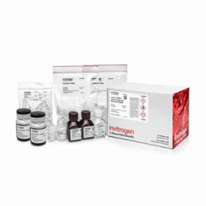 Thermo Fisher, Invitrogen, mirVana PARIS RNA and Native Protein Purification Kit, EACH, AM1556