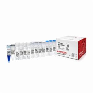 Thermo Fisher, Invitrogen, mMESSAGE mMACHINE T7 ULTRA Transcription Kit, KIT, AMB13455