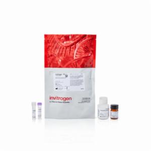 Thermo Fisher, Invitrogen, CBQCA Protein Quantitation Kit, 1 KIT, C6667