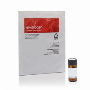 Thermo Fisher, Invitrogen, Dextran, Cascade Blue, 10,000 MW, Anionic, Lysine Fixable, 25 MG, D1976