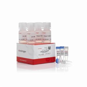 Thermo Fisher, Invitrogen, Calcium Phosphate Transfection Kit, 75 RXN, K278001