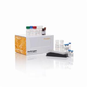 Thermo Fisher, Invitrogen, Cytokine 30-Plex Human Panel, 100 TESTS, EACH, LHC6003M