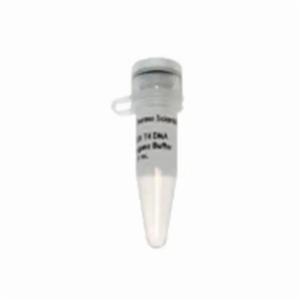 Thermo Fisher, Thermo Scientific, MgCl2 (magnesium chloride) (25 mM), EA, R0971