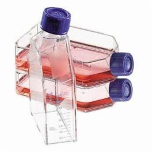 Thermo Fisher, FLASK FLTRCAP 25CM ANGLENEC, CASE OF 160, 136196