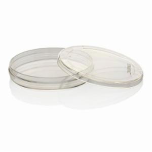 Thermo Fisher, Thermo Scientific, Nunc 51mm IVF ICSI Dish, CASE OF 120, 150265