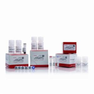 Thermo Fisher, Applied Biosystems, MAGnify Chromatin Immunoprecipitation System, MAGNIFY (TM) CHROMATIN IMMUNOP, 492024