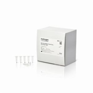 Thermo Fisher, Invitrogen, Nonstick, RNase-free Microfuge Tubes, 0.5 mL, 1000 TUBES, AM12300