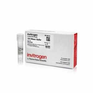 Thermo Fisher, Invitrogen, DNase I Buffer (10X), EACH, AM8170G