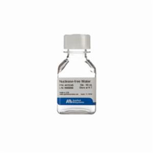 Thermo Fisher, Invitrogen, Nuclease-Free Water (not DEPC-Treated), EACH, AM9939