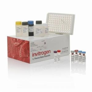 Thermo Fisher, Human IL-1 F6 ELISA Kit, 96 TESTS, EH254RB