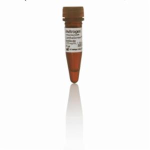 Thermo Fisher, LanthaScreen Eu-anti-GST Antibody, 25 UG, PV5594