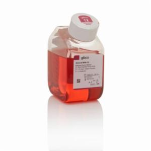Thermo Fisher, Gibco, Advanced MEM, 500ML, 12492013 Thermo Fisher, Gibco, Advanced MEM, 500ML, 12492013