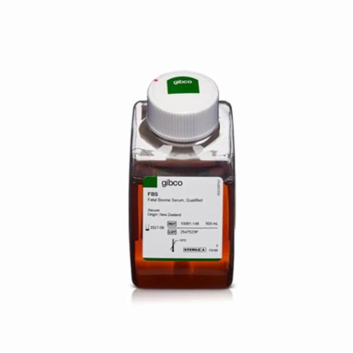 Thermo Fisher, FETAL BOVINE SERUM NZ ORI, 10091148