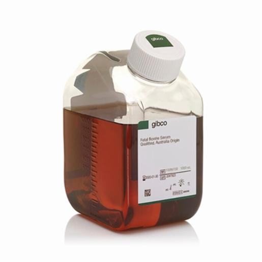 Thermo Fisher, FBS QUALIFIED AUSTRALIA O, 10099158