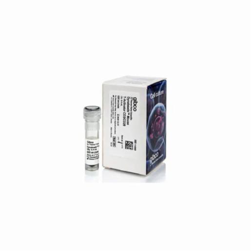 Thermo Fisher, Gibco, Dynabeads Mouse T-Activator CD3/CD28 for T-Cell Expansion and Activation, 0,4 ML, 11456D