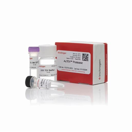 Thermo Fisher, ACTEV PROTEASE 10000U, 12575023