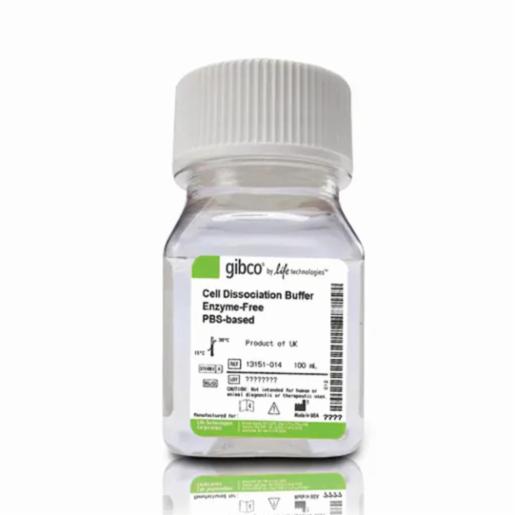 Thermo Fisher, Gibco, Cell Dissociation Buffer, enzyme-free, PBS, 100ML, 13151014