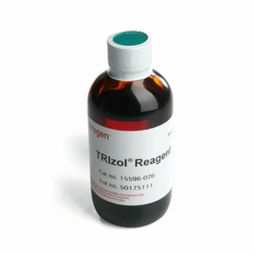 Thermo Fisher, Invitrogen, TRIzol Reagent, 100ML, 15596026