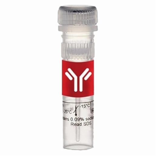 Thermo Fisher, Thermo Scientific, Pierce Recombinant Protein A/G, Peroxidase Conjugated, PEROXIDASE CONJUGATED, .5 MG, 32490