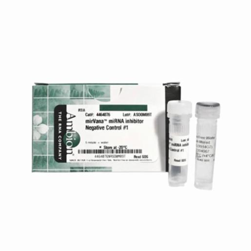 Thermo Fisher, Invitrogen, mirVana miRNA Mimic, Negative Control #1, EACH, 4464058