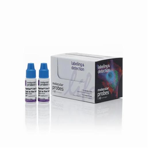 Invitrogen Alignment Thermo Fisher, Invitrogen, Alignflow Flow Cytometry Alignment Beads for ...