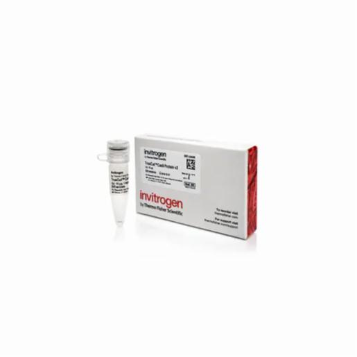 Thermo Fisher, Invitrogen TrueCut Cas9 Protein v2, 10 µg, A36496