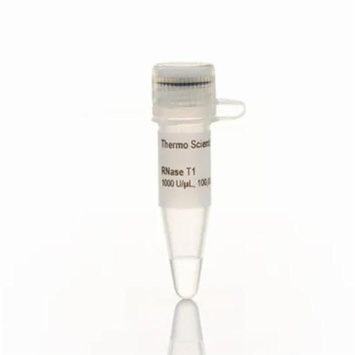Thermo Fisher, Thermo Scientific, RNase T1 (1000 U/µL), EA, EN0541