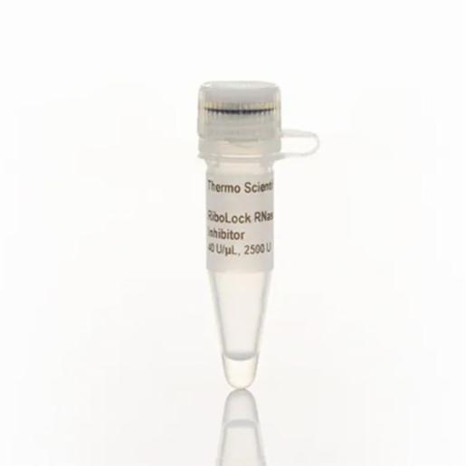 Thermo Fisher, Thermo Scientific, RiboLock RNase Inhibitor (40 U/µL), EA, EO0382