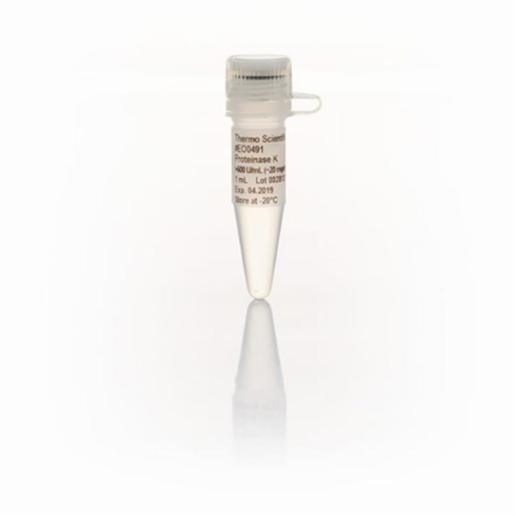 Thermo Fisher, Thermo Scientific, Proteinase K, recombinant, PCR grade, EA, EO0491