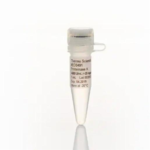 Thermo Fisher, Thermo Scientific, Proteinase K, recombinant, PCR grade, EA, EO0492