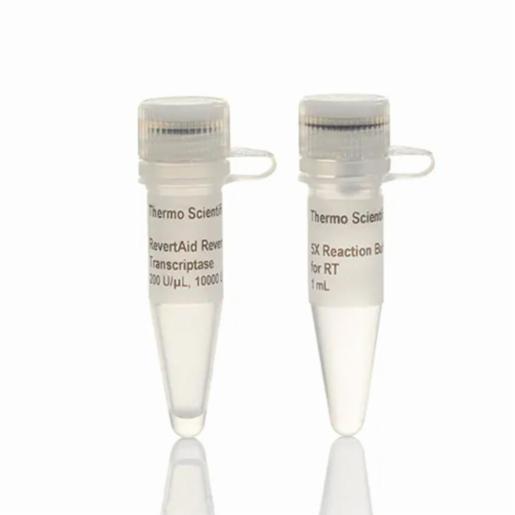 Thermo Fisher, Thermo Scientific, RevertAid Reverse Transcriptase (200 U/µL), 10,000 units, EP0441