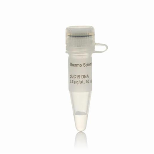 Thermo Fisher, Thermo Scientific, pUC19 DNA, EA, SD0061
