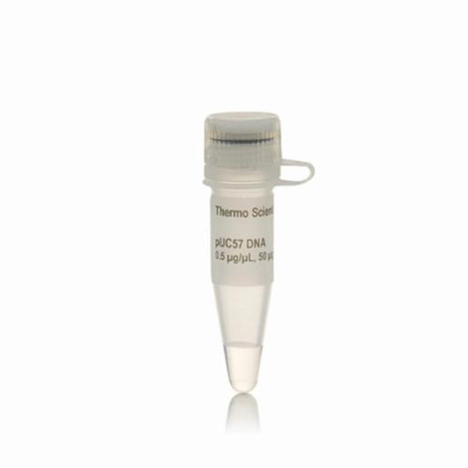 Thermo Fisher, Thermo Scientific, pUC57 DNA, EA, SD0171