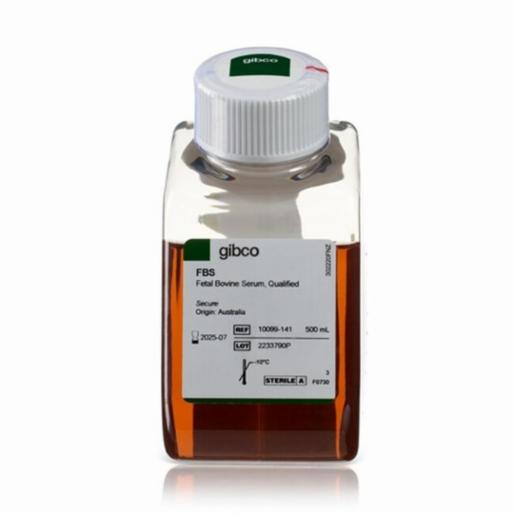 Thermo Fisher, Gibco, Fetal Bovine Serum, qualified, Australia, 500ML, 10099141