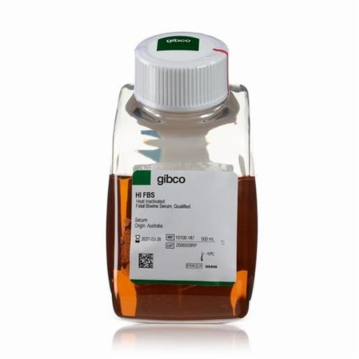 Thermo Fisher, Gibco, Fetal Bovine Serum, qualified, heat inactivated, Australia, 500ML, 10100147