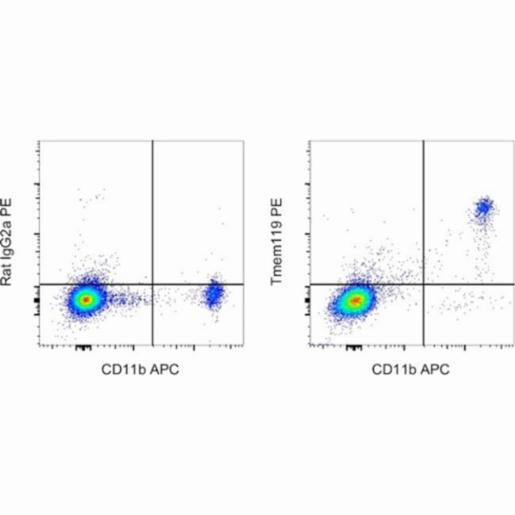 Thermo Fisher, Invitrogen, Tmem119 Monoclonal Antibody (V3RT1GOsz), PE, eBioscience, 100UG, 12-6119-82