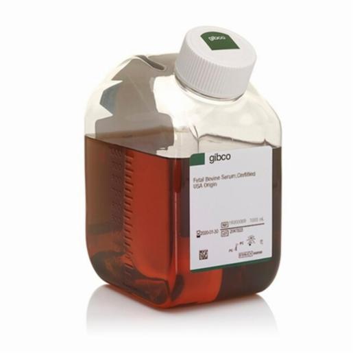 Thermo Fisher, Gibco, Fetal Bovine Serum, certified, United States, 1000ML, 16000069