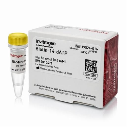 Thermo Fisher, Invitrogen, Biotin-14-dATP, 50 NMOL, 19524016