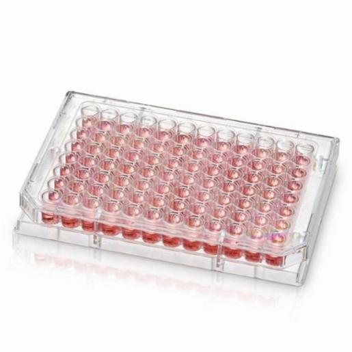 Thermo Fisher, F96 NUNC MICROWELL PLT W/O, 260844