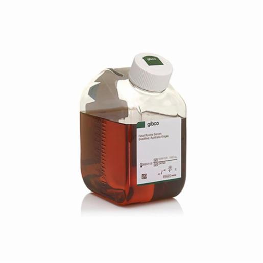 Thermo Fisher, FBS QUALIFIED AUSTRALIA O, 10099158