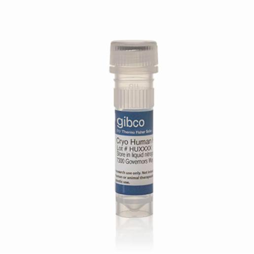 Thermo Fisher, Gibco, HEP10, Pooled Human Cryopreserved Hepatocytes, 4-8 MILLION RECOVERABLE CELLS, HMCS10