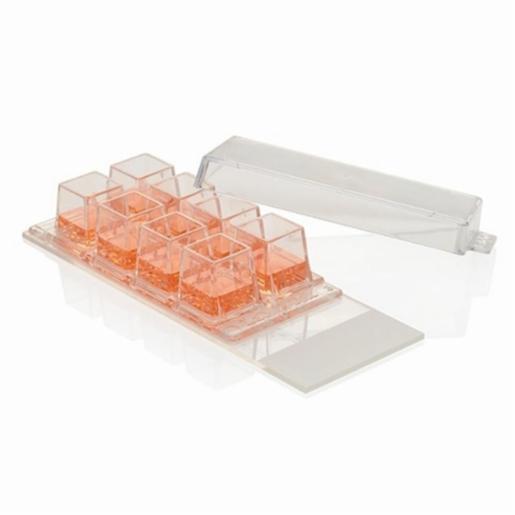 Thermo Fisher, Thermo Scientific, LabTek Chamber Slide, 2 Well Glass TC Surface, Case of 96, 177380