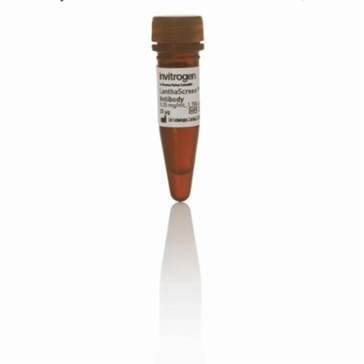 Thermo Fisher, LanthaScreen Eu-anti-GST Antibody, 25 UG, PV5594